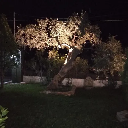 Marianna 3* Skála Kallirákhis