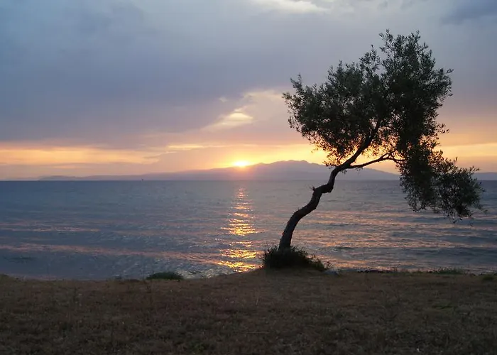 Marianna 3* Σκάλα Καλλιράχης